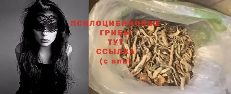 гидра как зайти  Асбест  Галлюциногенные грибы Magic Shrooms 